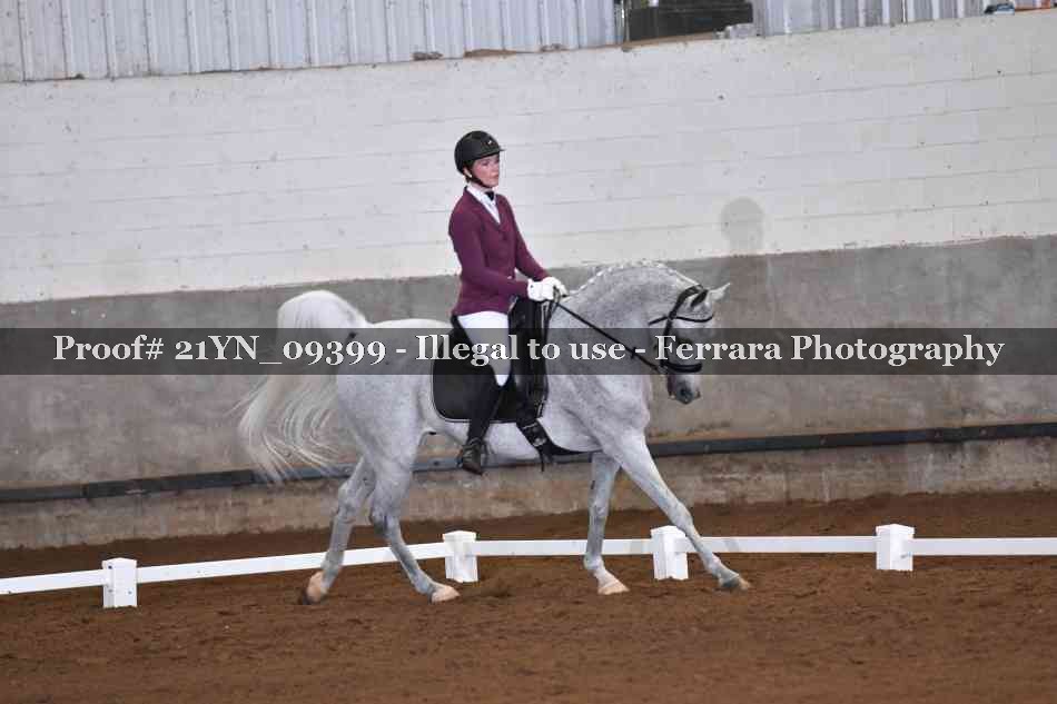 Proof Number 21YN_09399