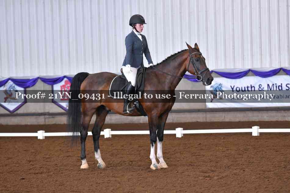 Proof Number 21YN_09431