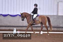 21YN_09440 thumbnail
