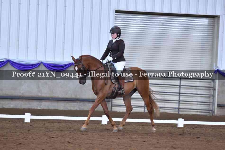 Proof Number 21YN_09441