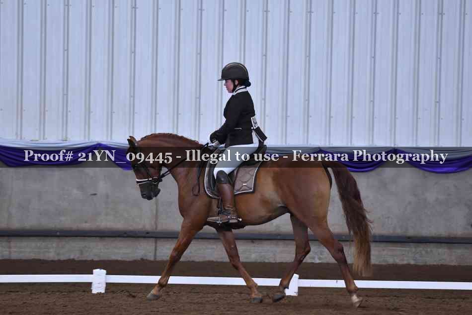 Proof Number 21YN_09445