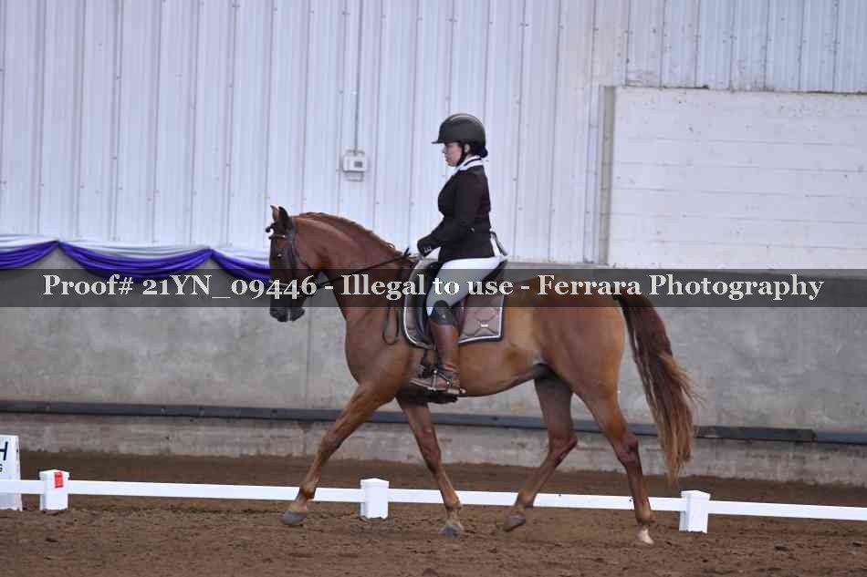 Proof Number 21YN_09446