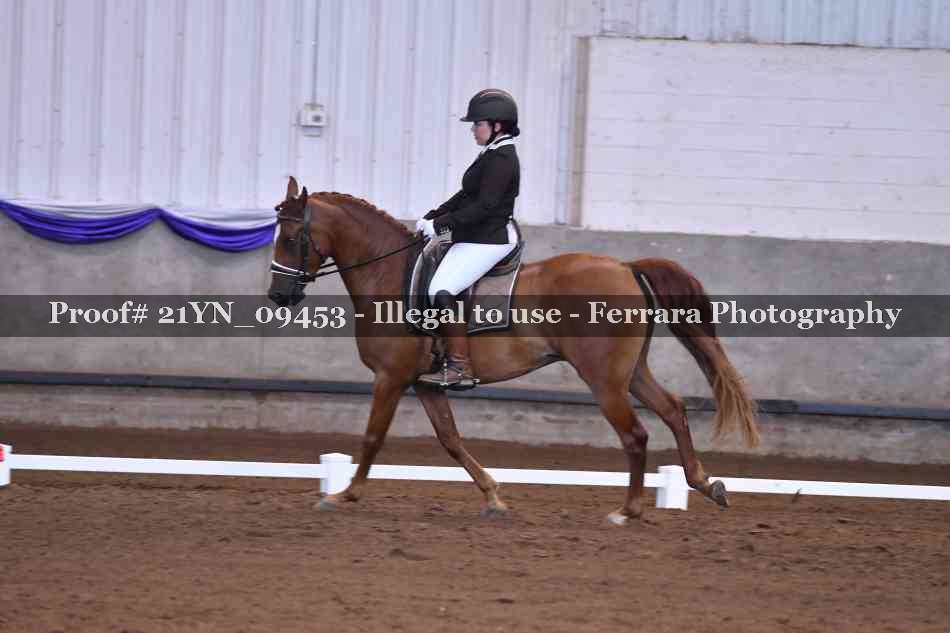 Proof Number 21YN_09453