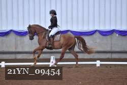 21YN_09454 thumbnail