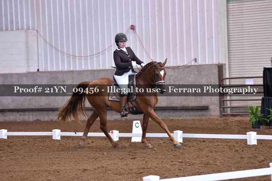 Proof Number 21YN_09456