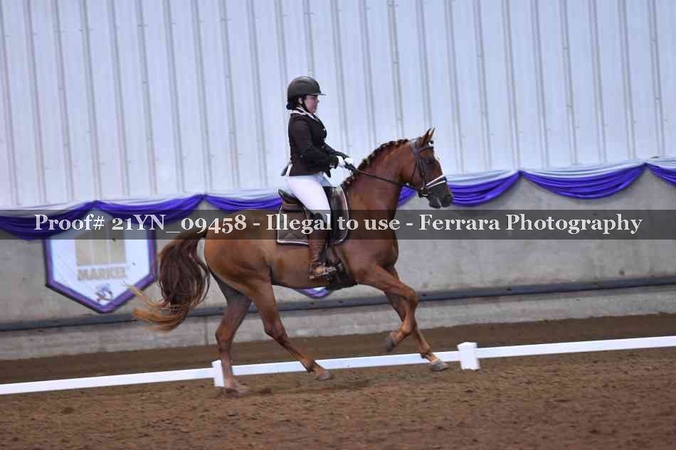 Proof Number 21YN_09458