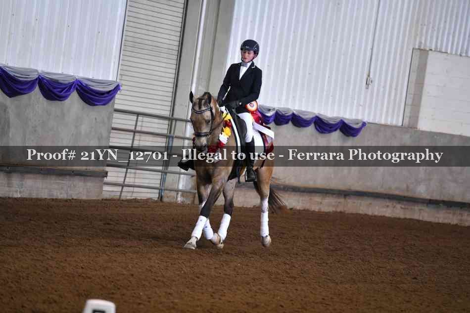 Proof Number 21YN_12701