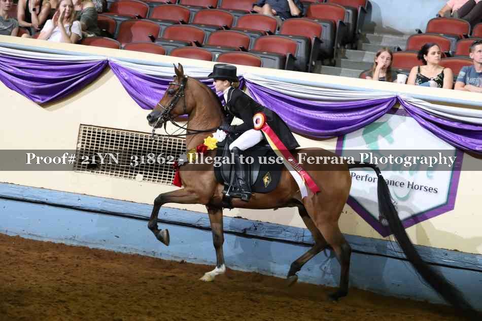 Proof Number 21YN_31862