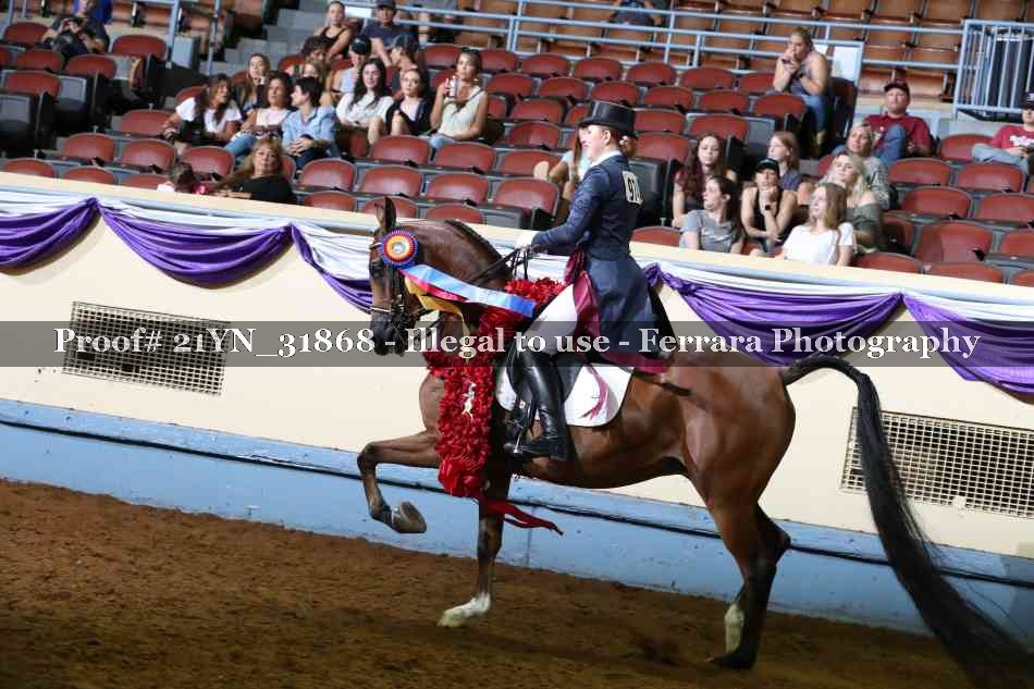 Proof Number 21YN_31868