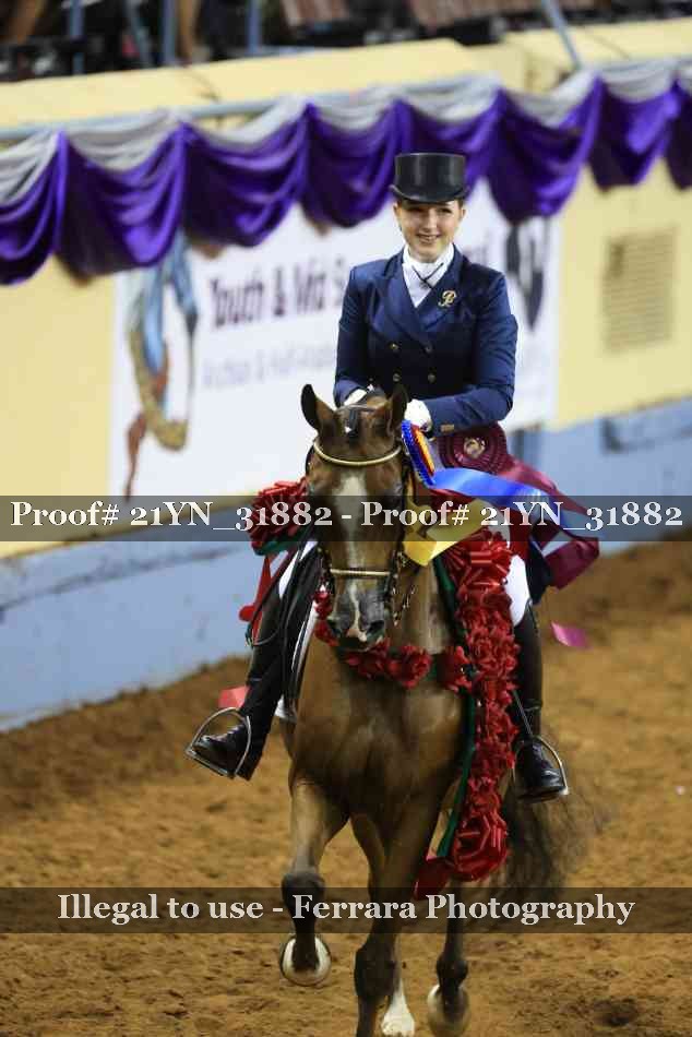 Proof Number 21YN_31882