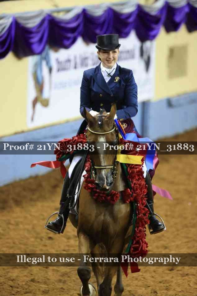 Proof Number 21YN_31883