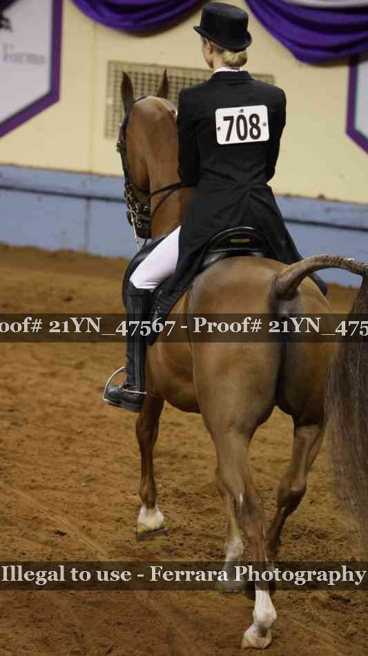 Proof Number 21YN_47567