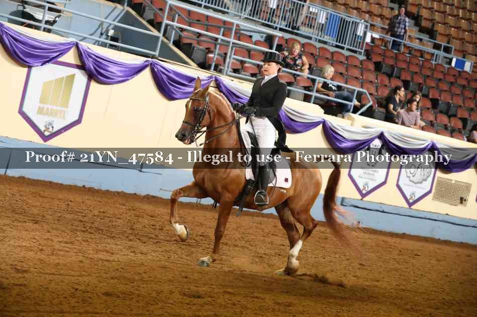 Proof Number 21YN_47584
