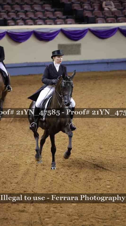 Proof Number 21YN_47585