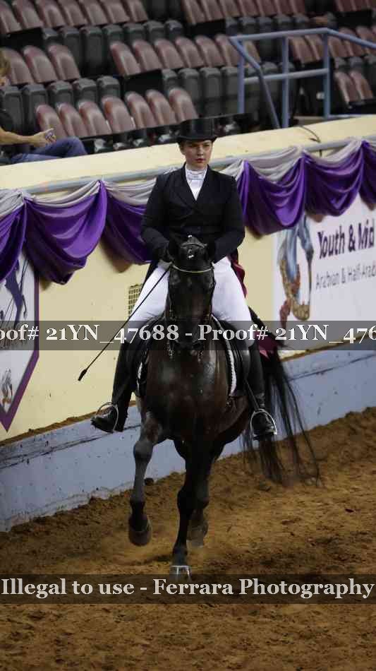 Proof Number 21YN_47688