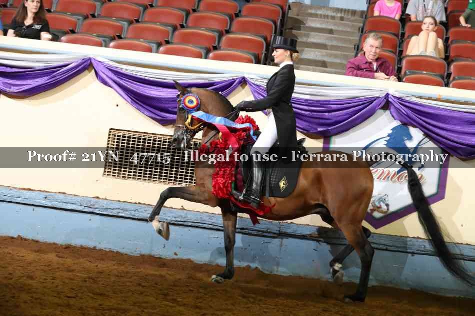 Proof Number 21YN_47715