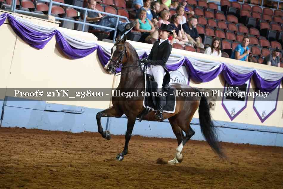 Proof Number 21YN_23800