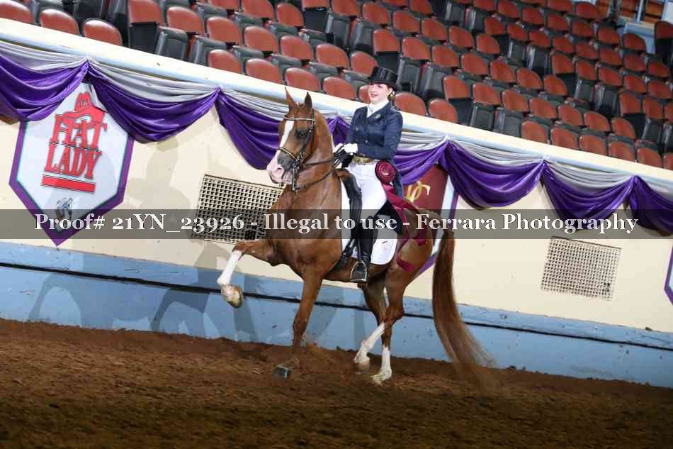 Proof Number 21YN_23926