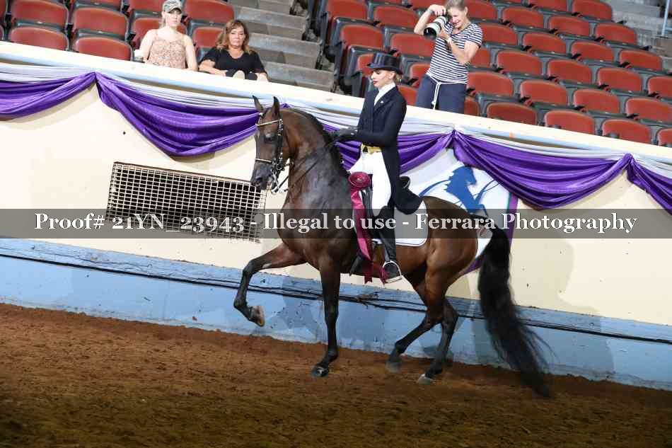 Proof Number 21YN_23943