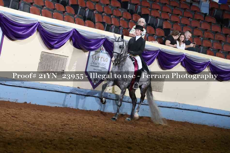 Proof Number 21YN_23955