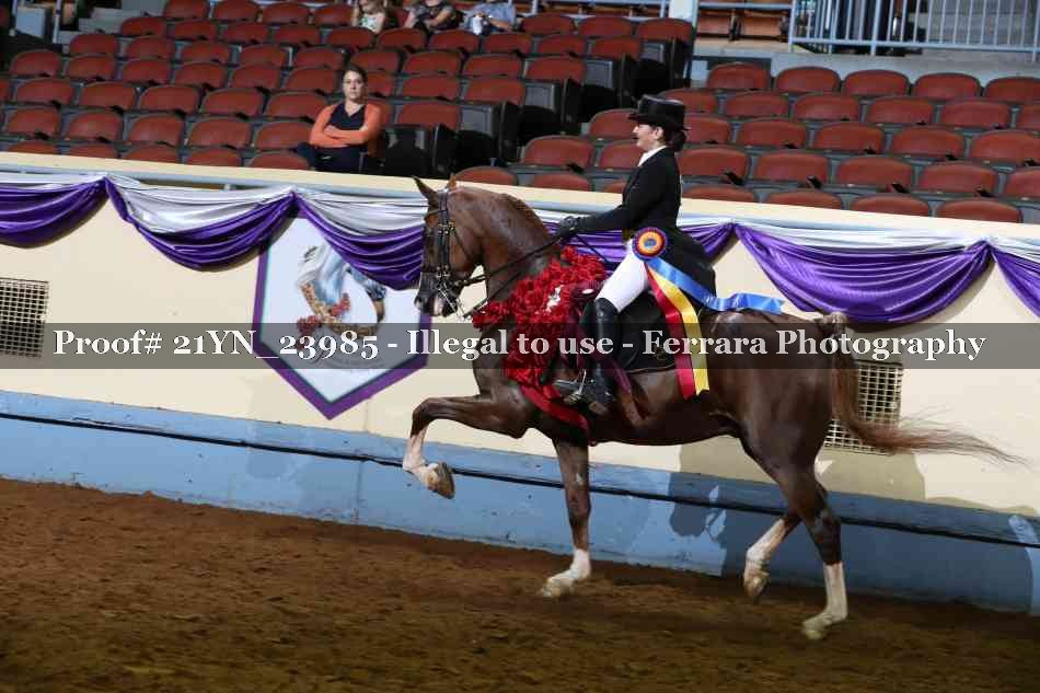 Proof Number 21YN_23985