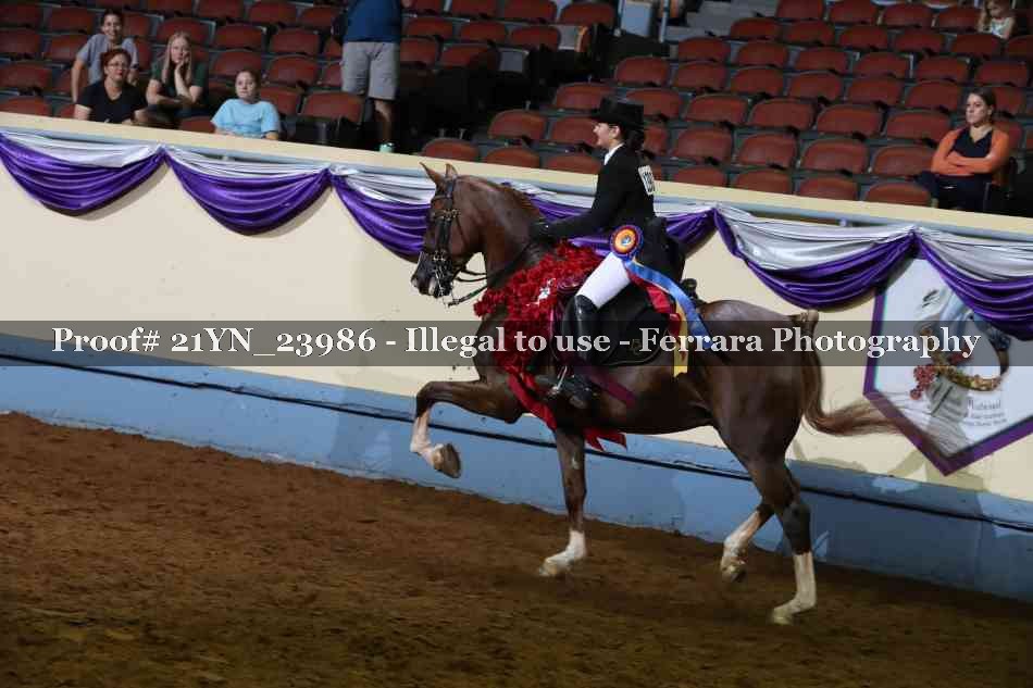 Proof Number 21YN_23986