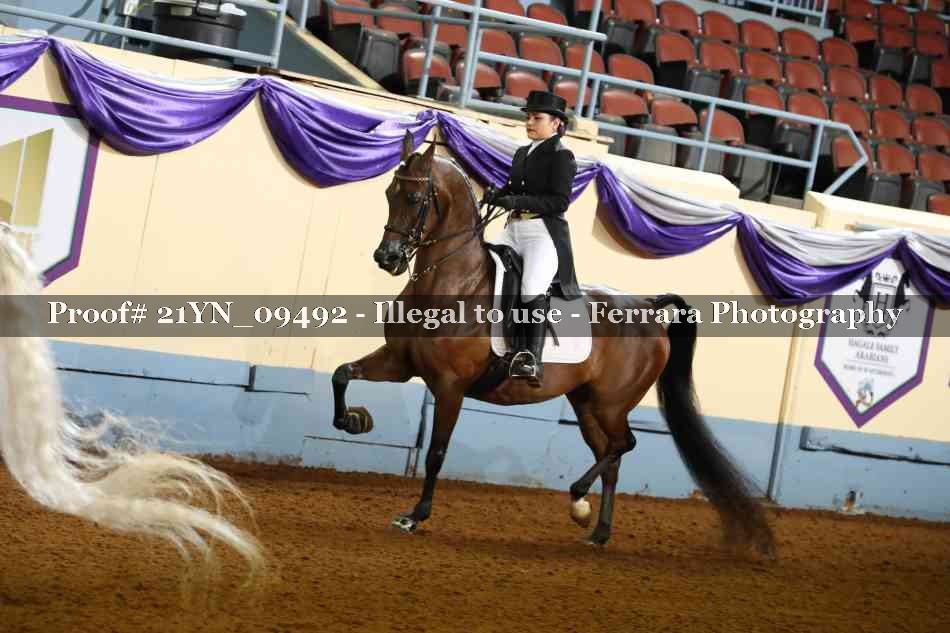 Proof Number 21YN_09492