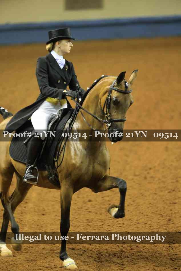 Proof Number 21YN_09514