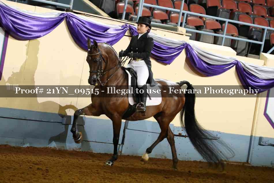 Proof Number 21YN_09515