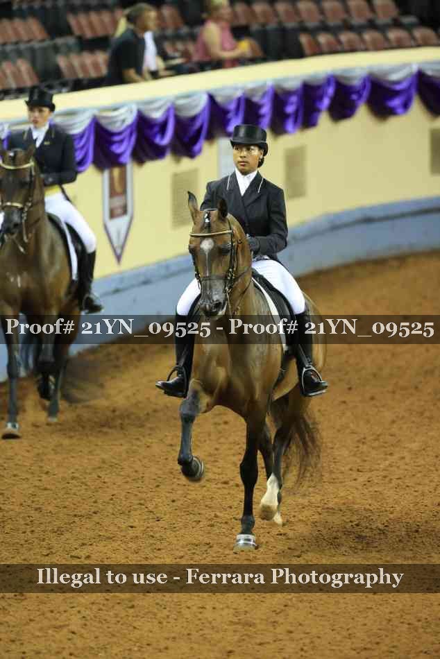 Proof Number 21YN_09525