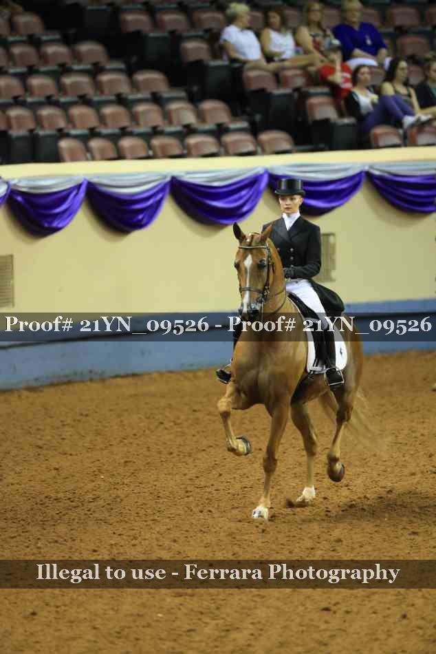 Proof Number 21YN_09526