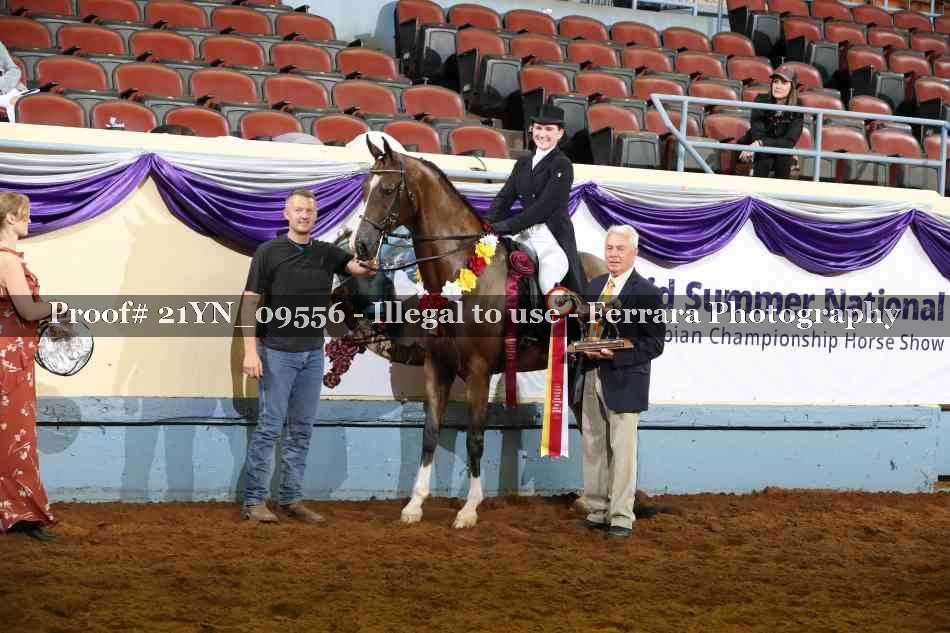 Proof Number 21YN_09556