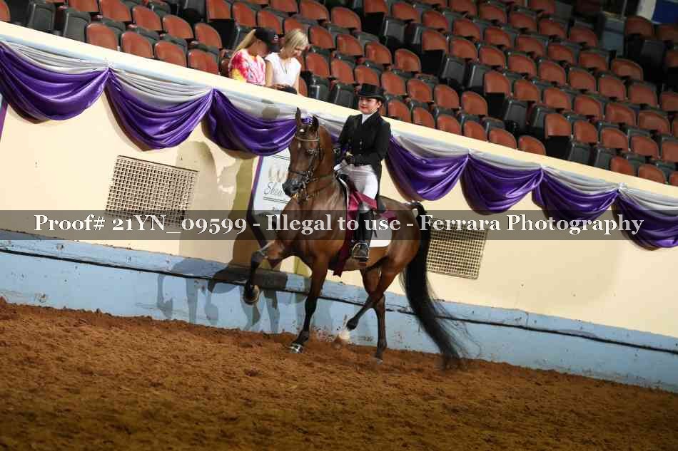 Proof Number 21YN_09599