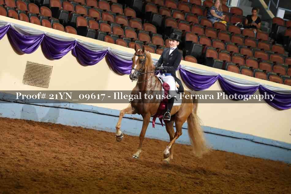 Proof Number 21YN_09617