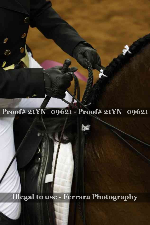 Proof Number 21YN_09621