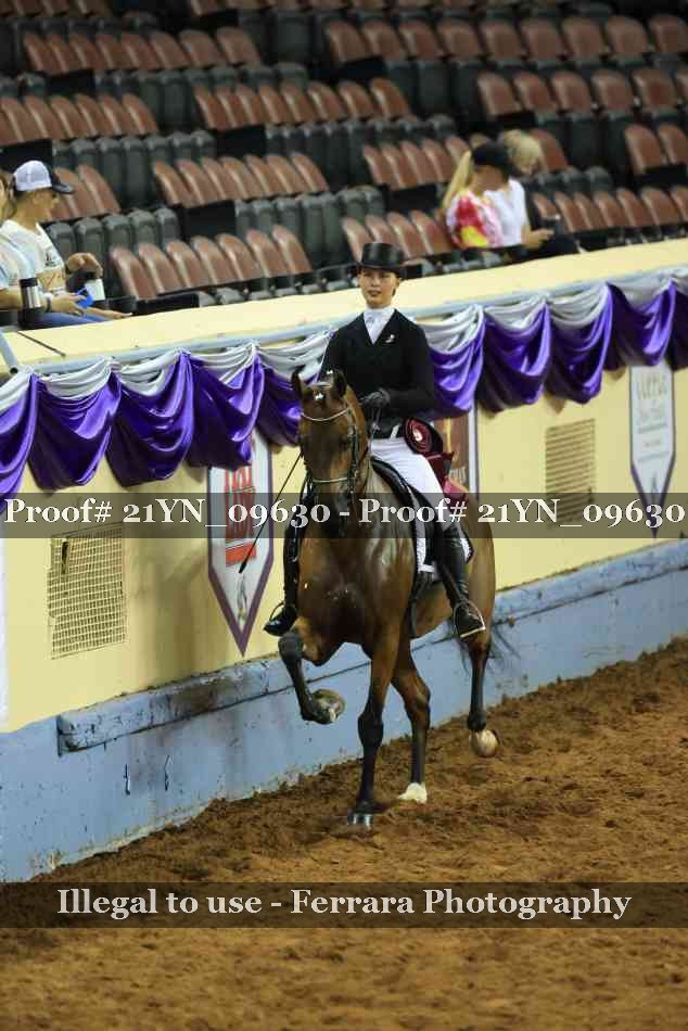 Proof Number 21YN_09630