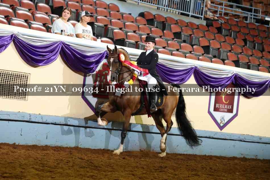 Proof Number 21YN_09634