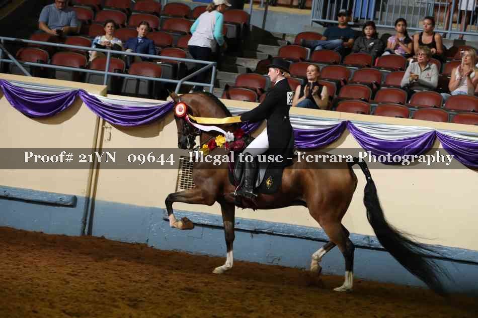 Proof Number 21YN_09644