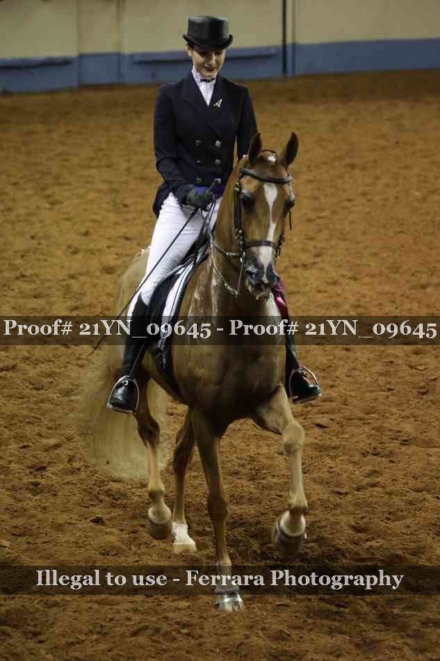 Proof Number 21YN_09645