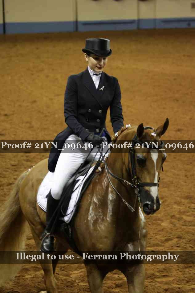 Proof Number 21YN_09646