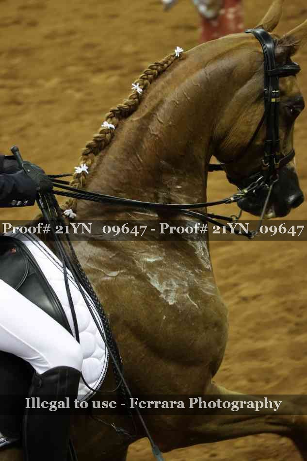 Proof Number 21YN_09647