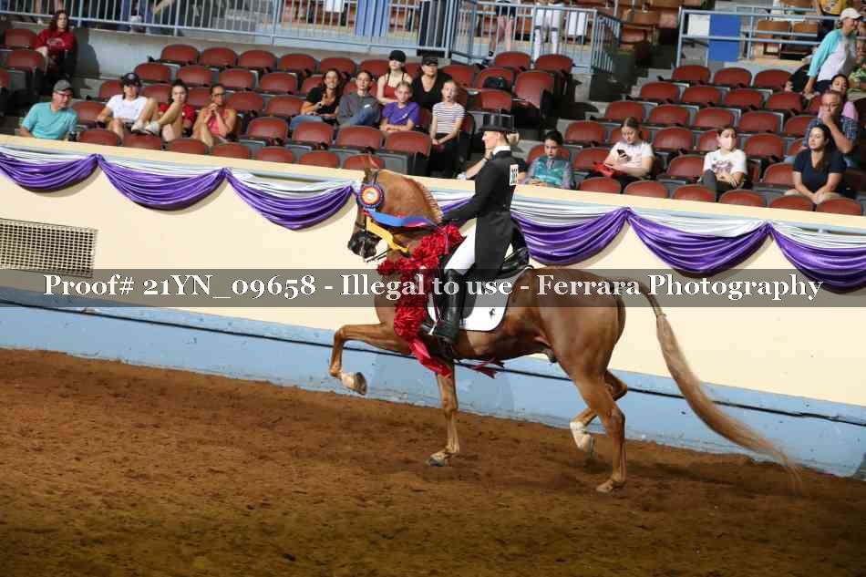 Proof Number 21YN_09658