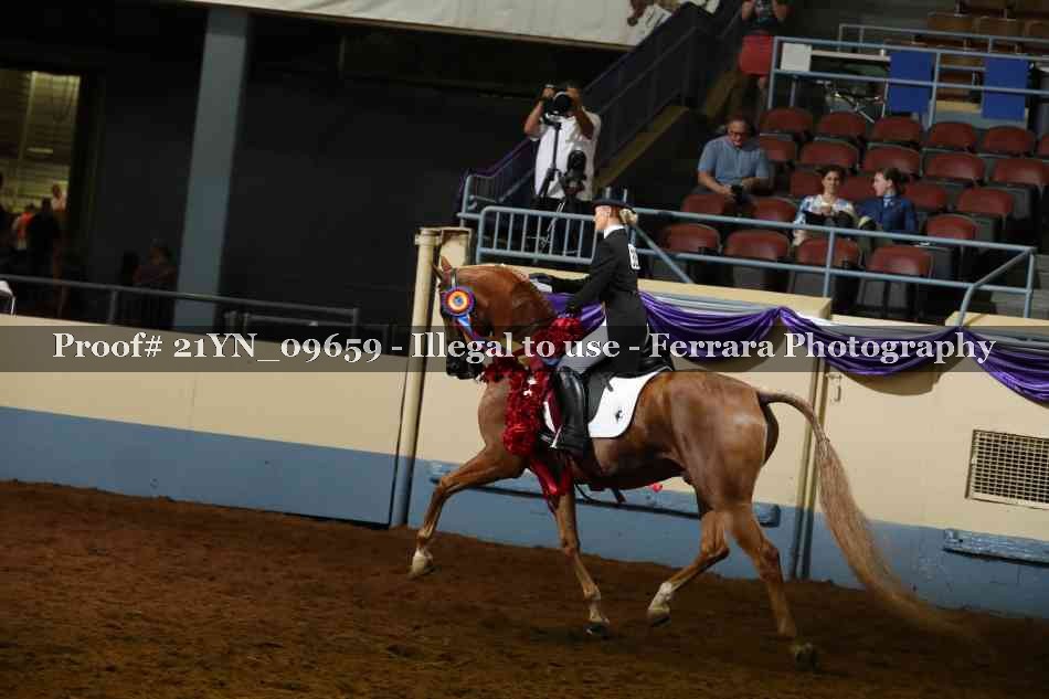 Proof Number 21YN_09659