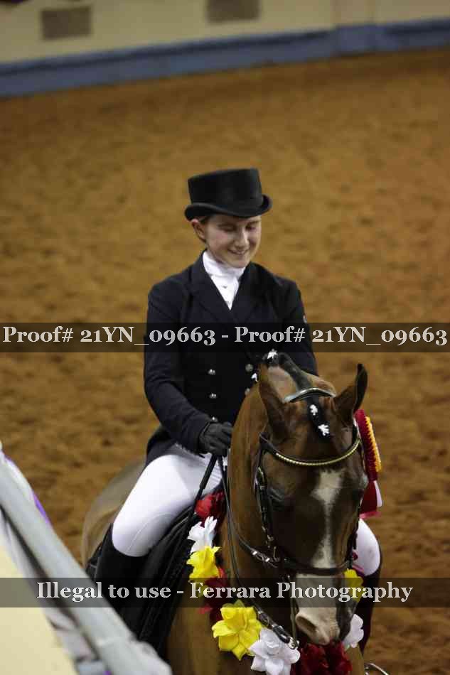 Proof Number 21YN_09663