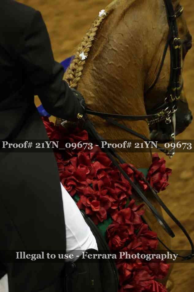 Proof Number 21YN_09673