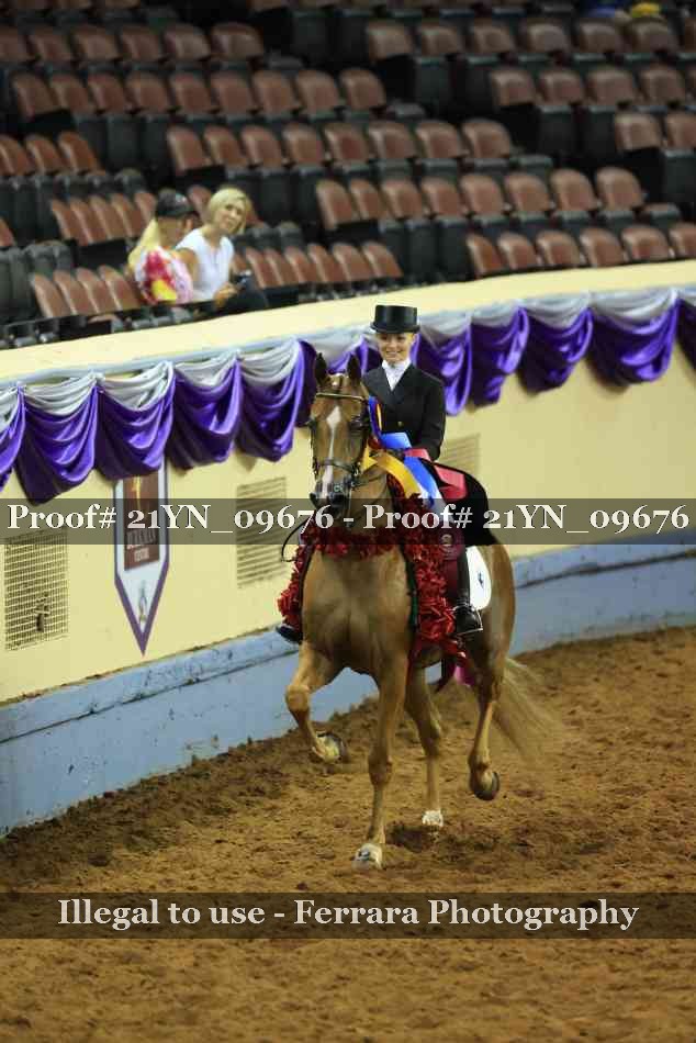 Proof Number 21YN_09676