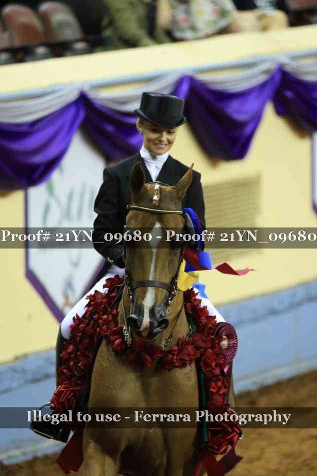 Proof Number 21YN_09680