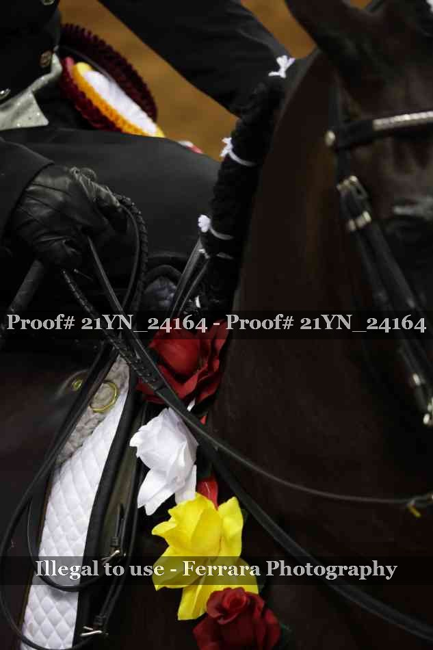 Proof Number 21YN_24164