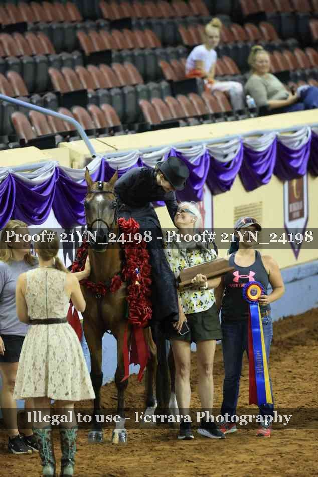 Proof Number 21YN_24198