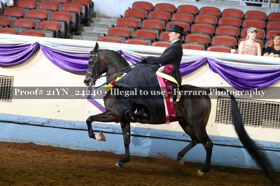 Proof Number 21YN_24240